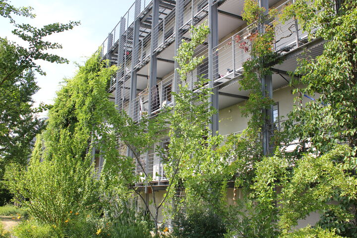 Auf dem Gelände der Landesanstalt für Weinbau und Gartenbau kann man im Sommer verschiedene Formen von Fassadengrün bewundern.