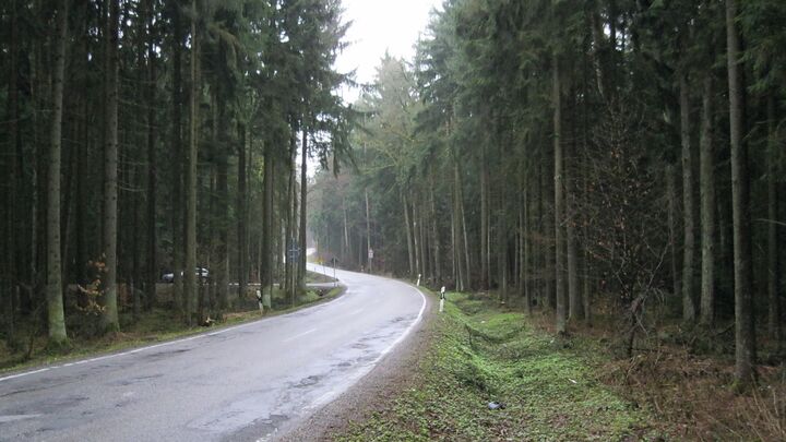 Vor dem Ausbau: St 2230 zwischen Bach und Rohr 