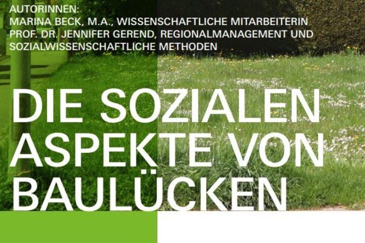 Studienbericht "Die sozialen Aspekte von Baulücken" (2023)
