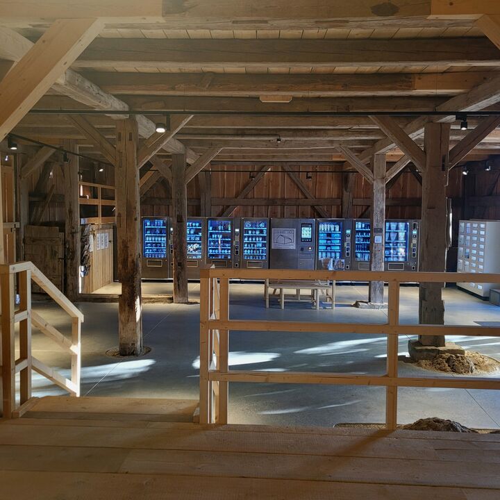 Jurastadel in Pittmannsdorf. Foto: Sigrun Feuerer